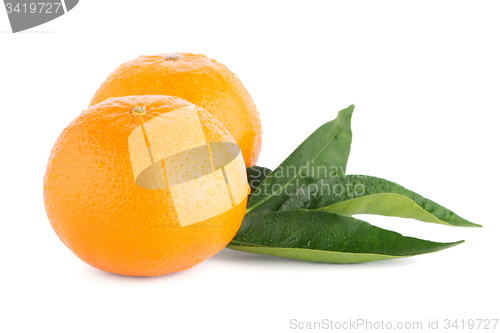 Image of Ripe tangerine or mandarin