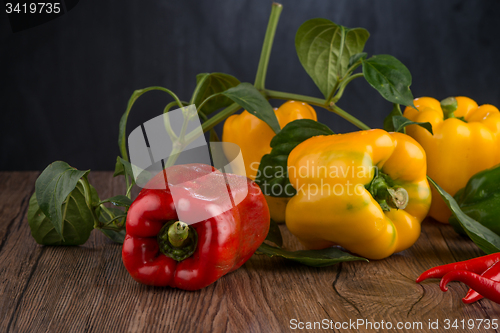 Image of Colored bell peppers