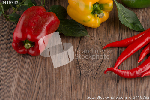 Image of Colored bell peppers