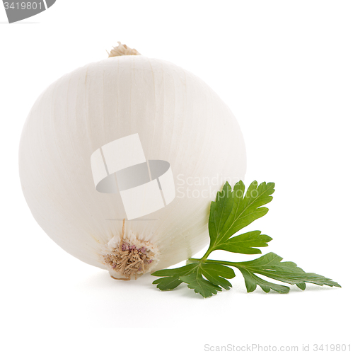 Image of Onion and parsley 