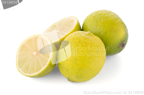 Image of Fresh green limes