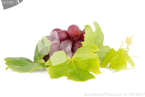 Image of Bunch of red grapes