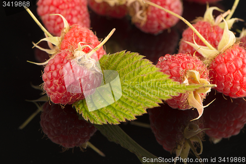 Image of Fresh raspberries