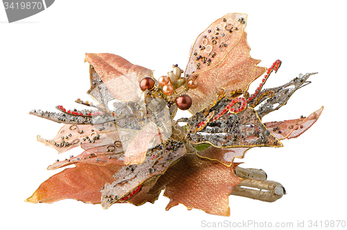 Image of Christmas decoration