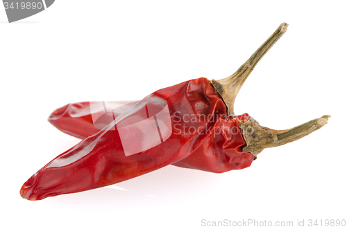 Image of Two red hot chili pepper