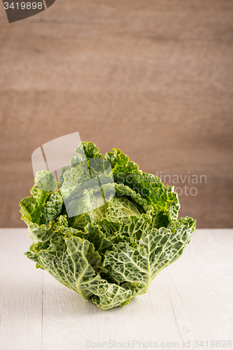 Image of Savoy cabbage