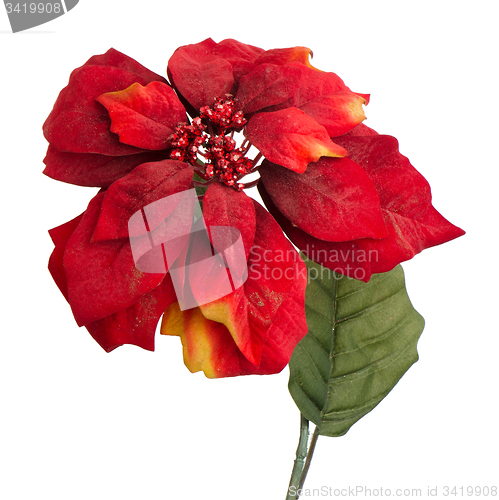 Image of Red Christmas decoration