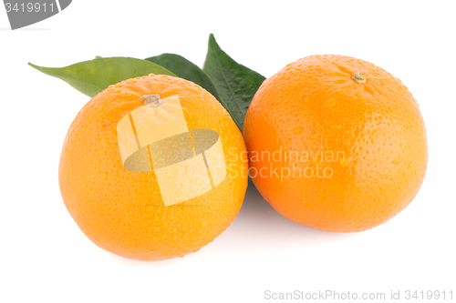 Image of Ripe tangerine or mandarin