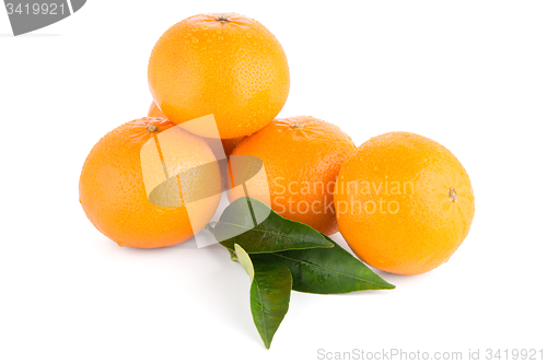 Image of Ripe tangerine or mandarin