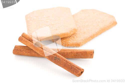 Image of Cinnamon cookie 