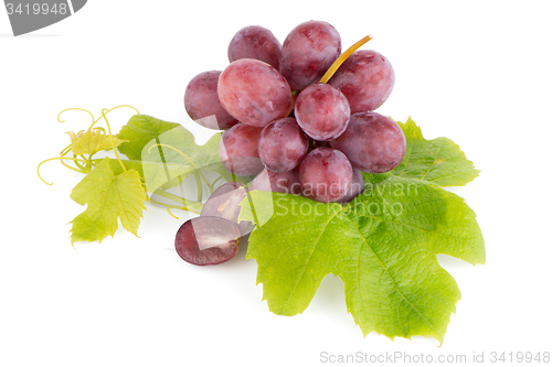 Image of Bunch of red grapes