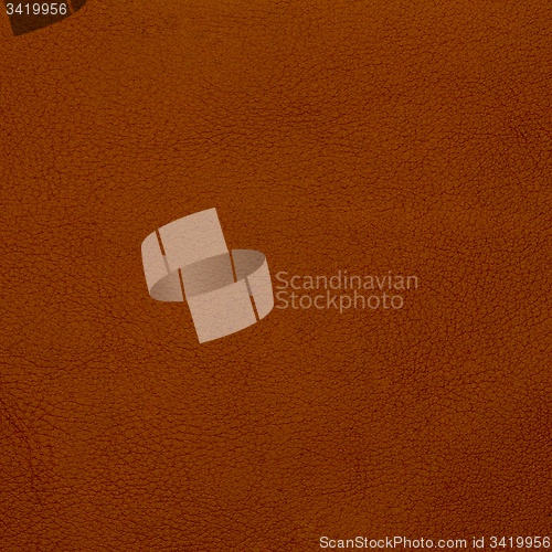 Image of Brown leather