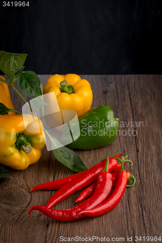 Image of Colored bell peppers