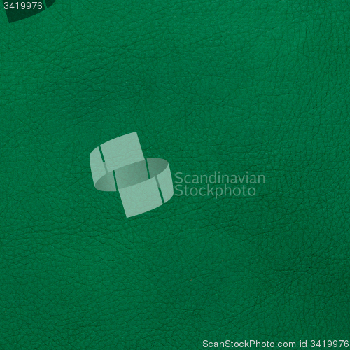 Image of Green leather