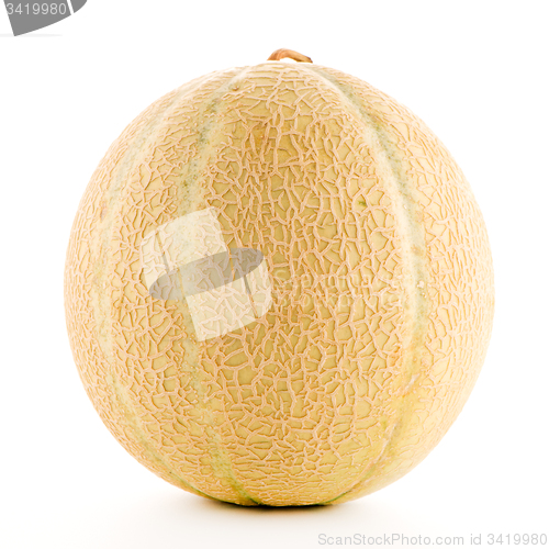 Image of Honeydew melon