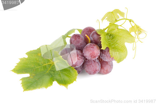 Image of Bunch of red grapes