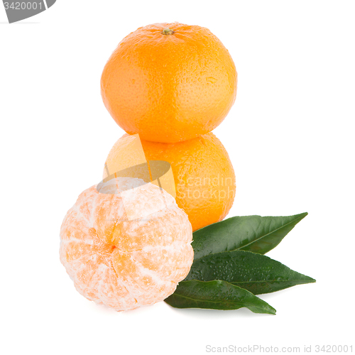 Image of Ripe tangerine or mandarin