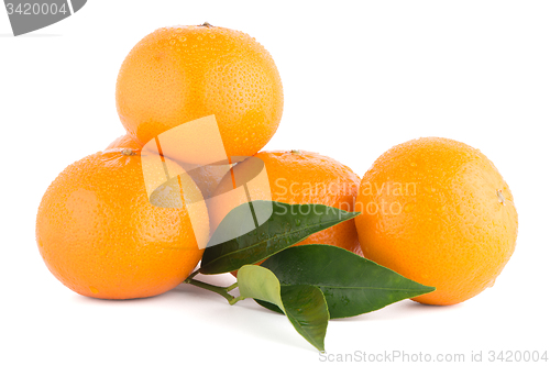 Image of Ripe tangerine or mandarin