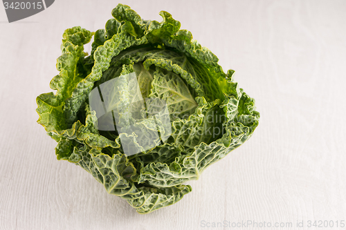 Image of Savoy cabbage