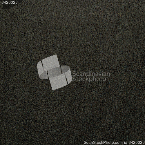 Image of Brown leather