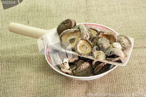 Image of Dried Shiitake mushrooms