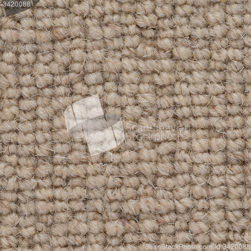 Image of Brown carpet