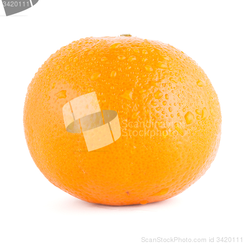 Image of Ripe tangerine or mandarin