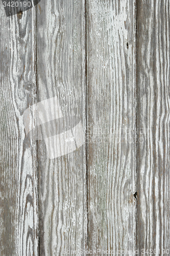 Image of Wood old wall background