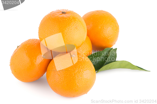 Image of Ripe tangerine or mandarin