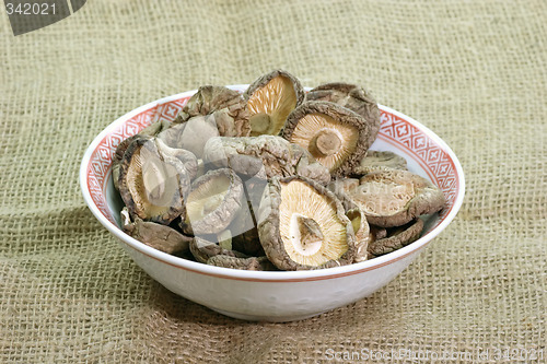 Image of Shiitake Mushrooms