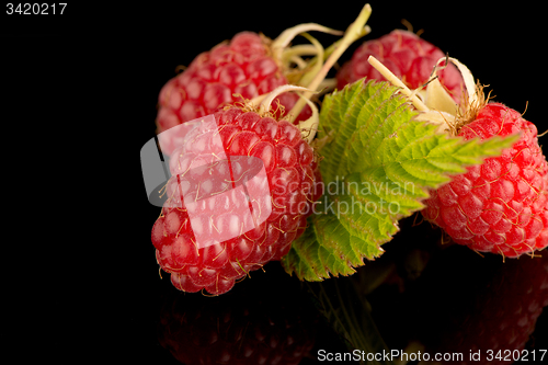 Image of Fresh raspberries