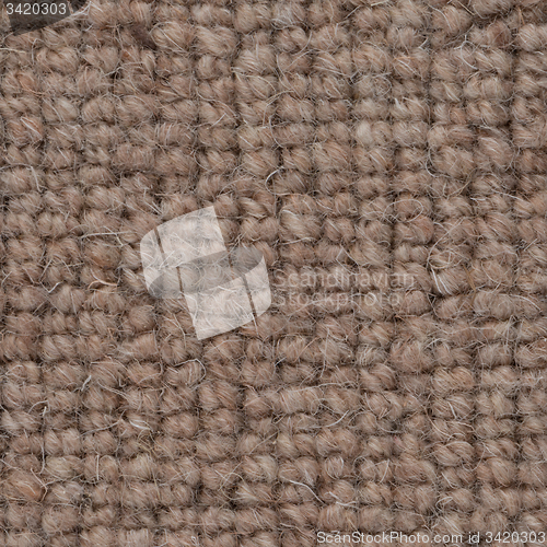 Image of Brown carpet