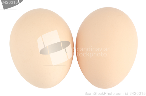 Image of Two eggs on white 