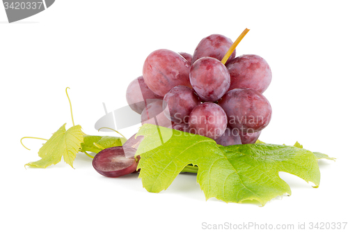 Image of Bunch of red grapes