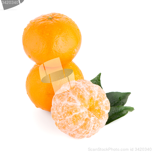 Image of Ripe tangerine or mandarin