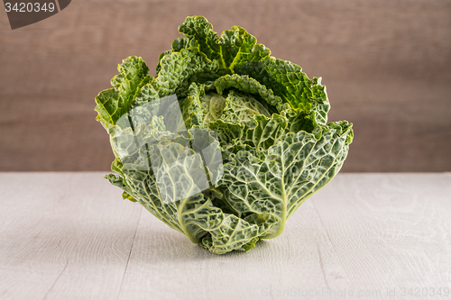 Image of Savoy cabbage