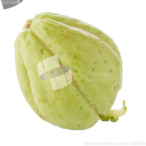 Image of Chayote