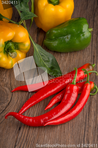 Image of Colored bell peppers