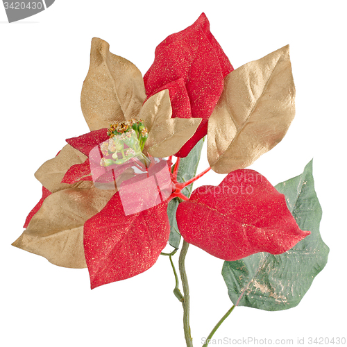 Image of Red Christmas decoration