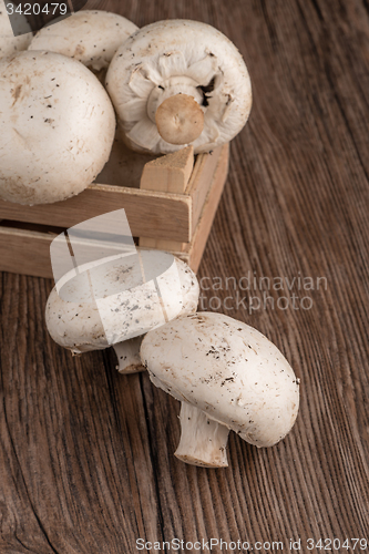 Image of Champignons in a wooden box