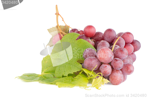 Image of Bunch of red grapes