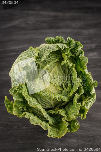 Image of Savoy cabbage