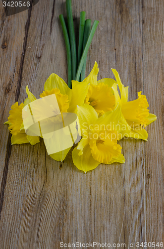 Image of Jonquil flowers