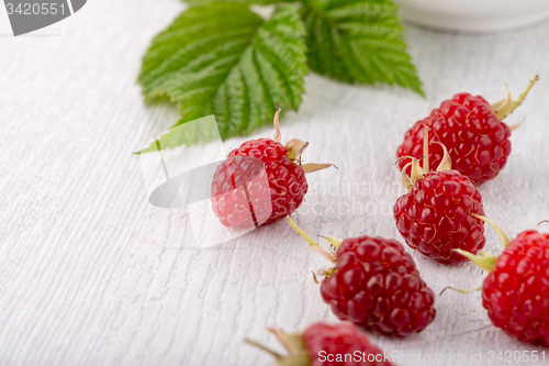 Image of Ripe red raspberries