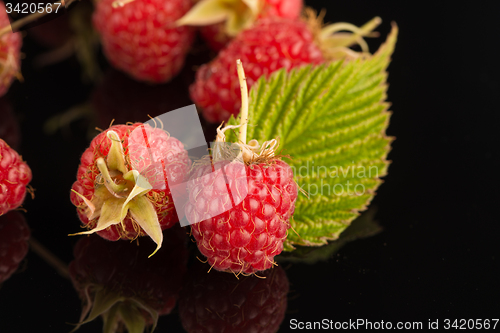 Image of Fresh raspberries