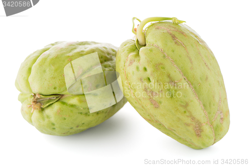 Image of Chayote