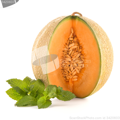 Image of Honeydew melon