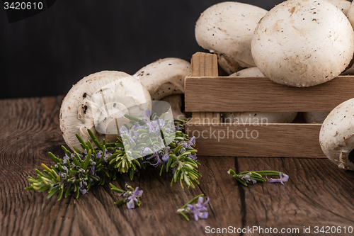 Image of Champignons in a wooden box