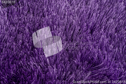 Image of Purple carpet