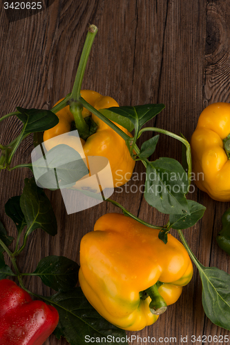 Image of Colored bell peppers